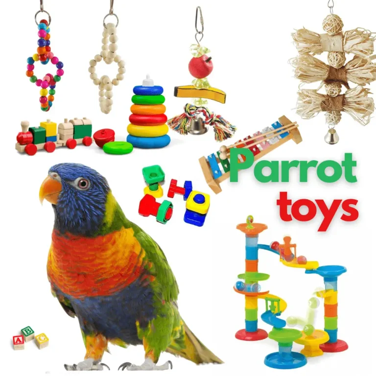 Enrichment Ideas to Prevent Parrot Boredom