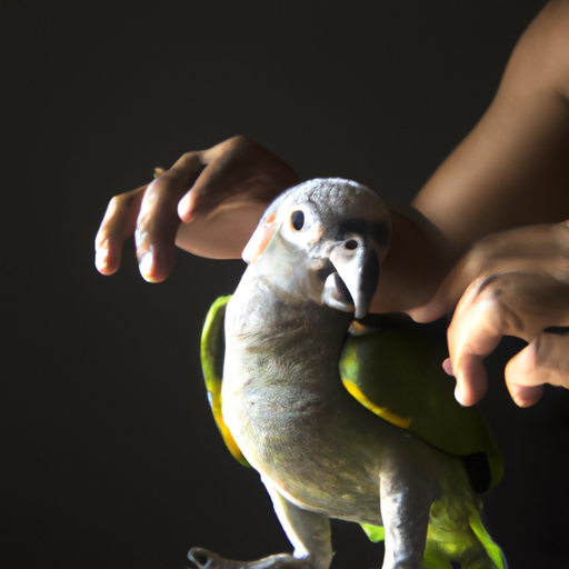 Building Trust Before You Train: Bonding with Your Parrot image 3