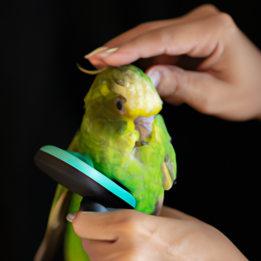 How to Make Grooming Stress-Free for Your Parrot image