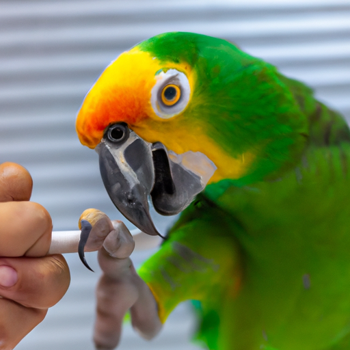 Managing Aggressive Behavior in Pet Parrots image