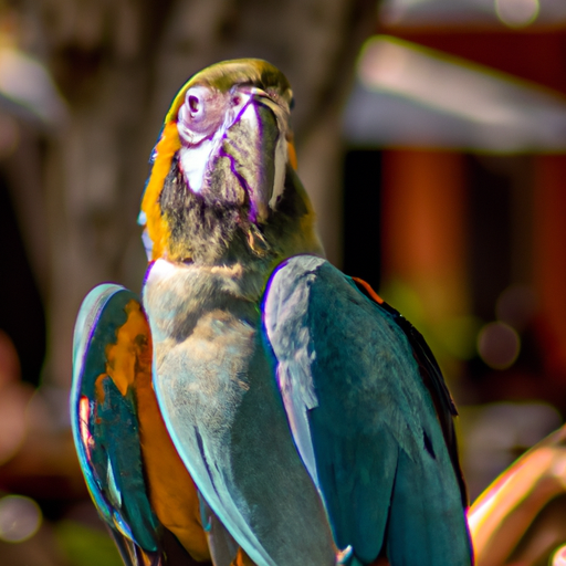Reading Parrot Body Language: What Every Move Means image