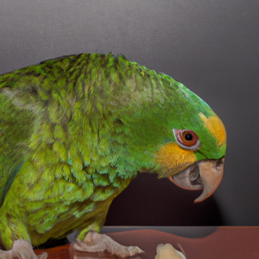 Understanding What Parrots Need in Their Daily Diet image 1