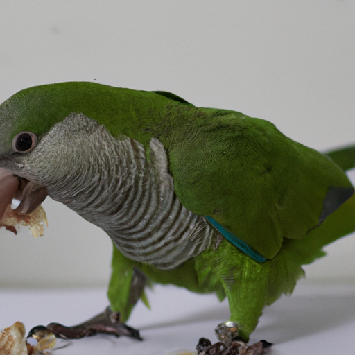 Understanding What Parrots Need in Their Daily Diet image 2